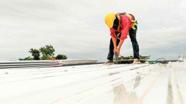 Best Skylight Installation and Repair  in Petal, MS