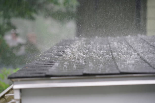 Roof Insulation in Petal, MS