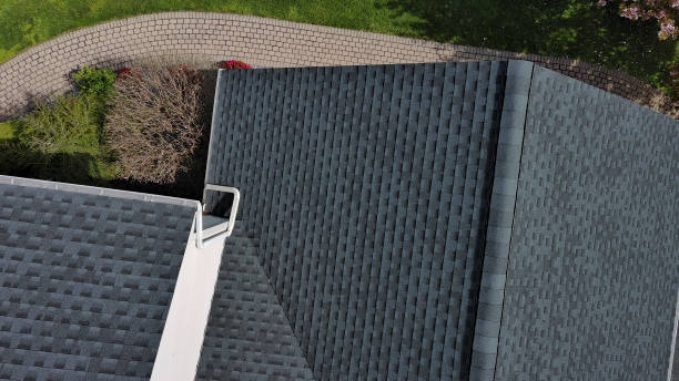 Professional Roofing Services in Petal, MS